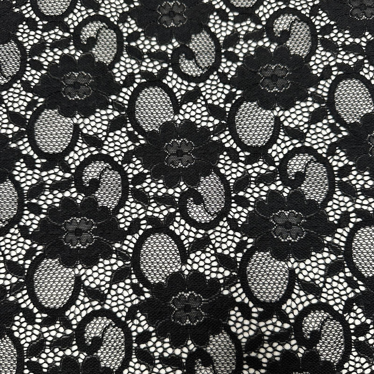 LACE SCALLOP - F1451SPLAC - Jerseytexuk