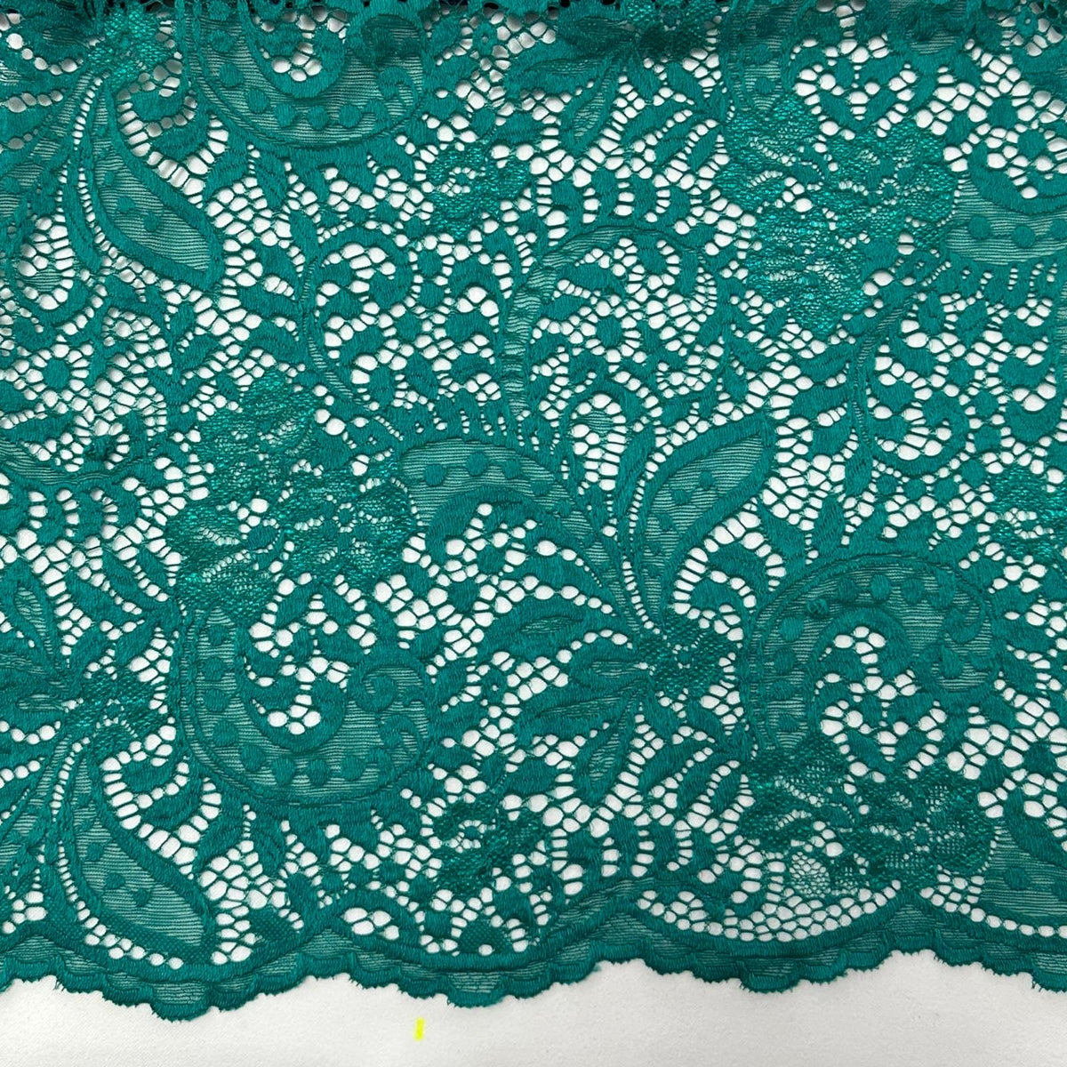 LACE SCALLOP - DSN - YZ6449 - Jerseytexuk