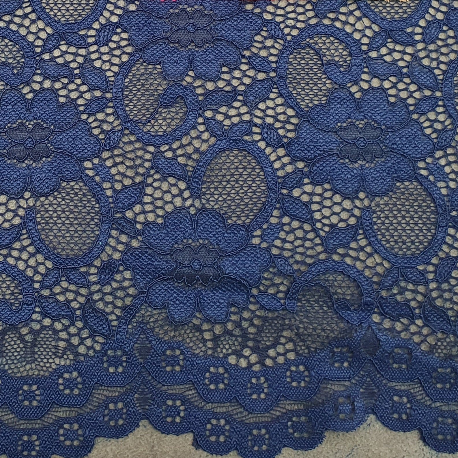 LACE SCALLOP - F1451SPLAC - Jerseytexuk