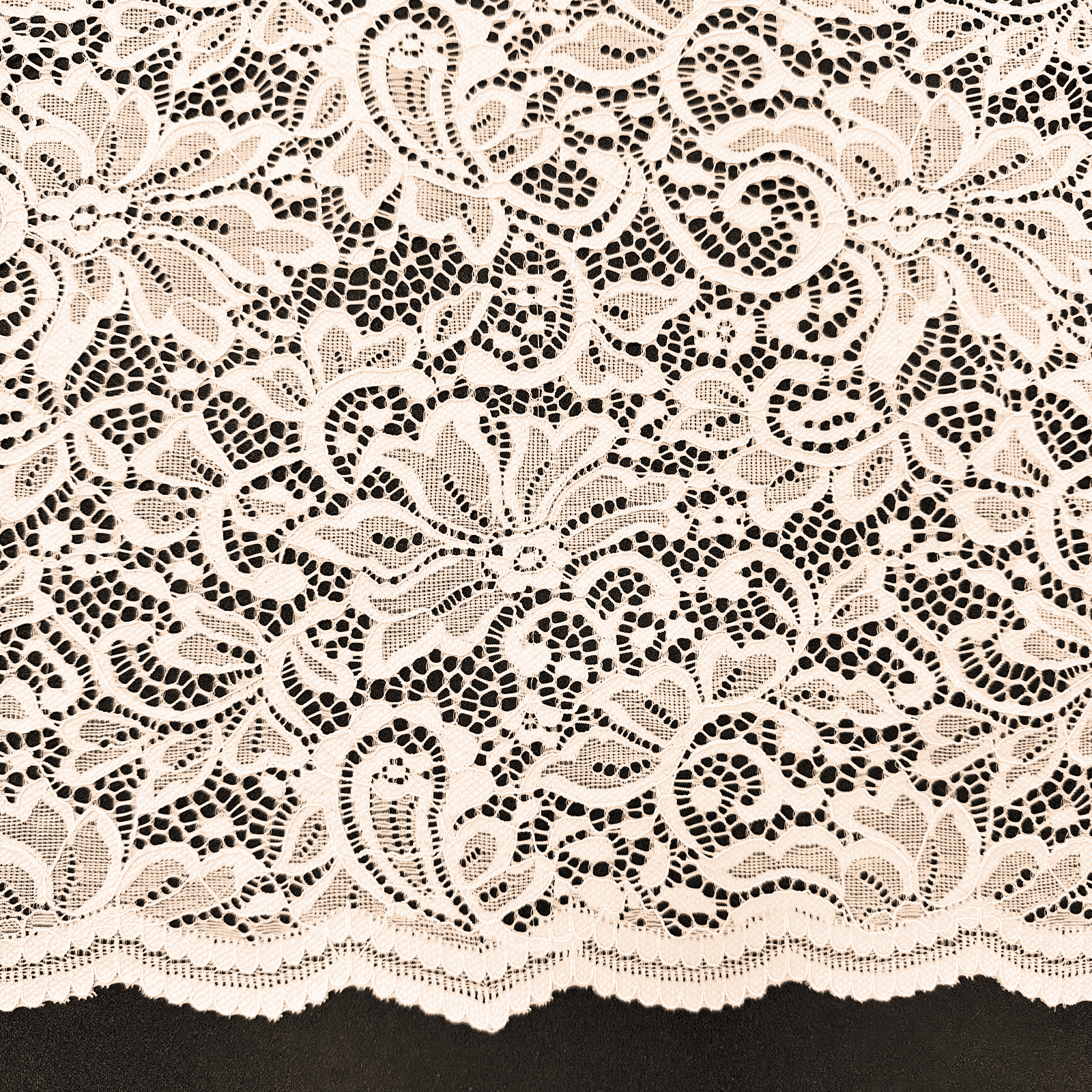 LACE SCALLOP - DSN - LG5948 - Jerseytexuk