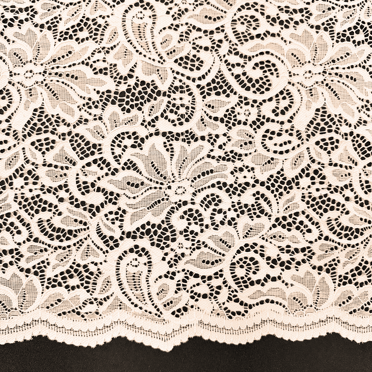 LACE SCALLOP - DSN - LG5948 - Jerseytexuk