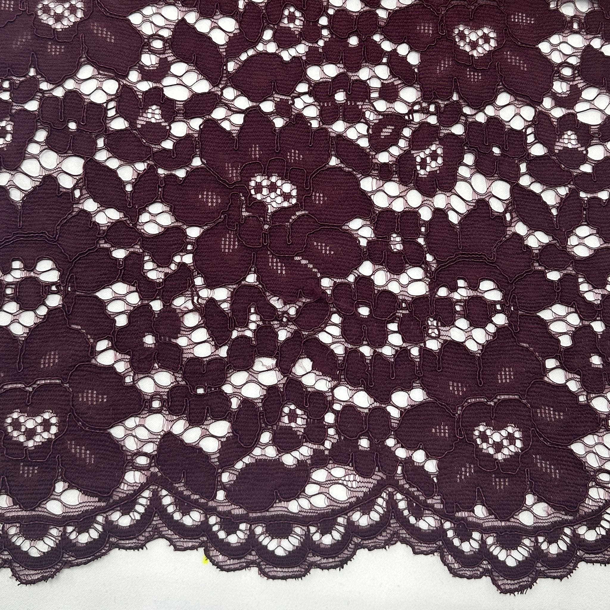 DOUBLE SCALLOP LACE - LG62235 - Jerseytexuk