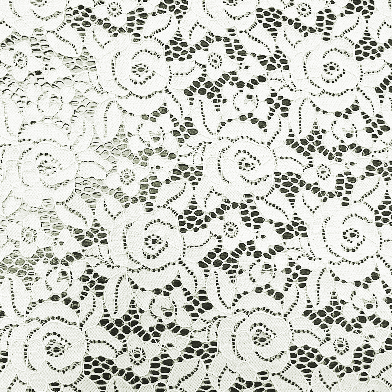 LACE SCALLOP - D003 - Jerseytexuk