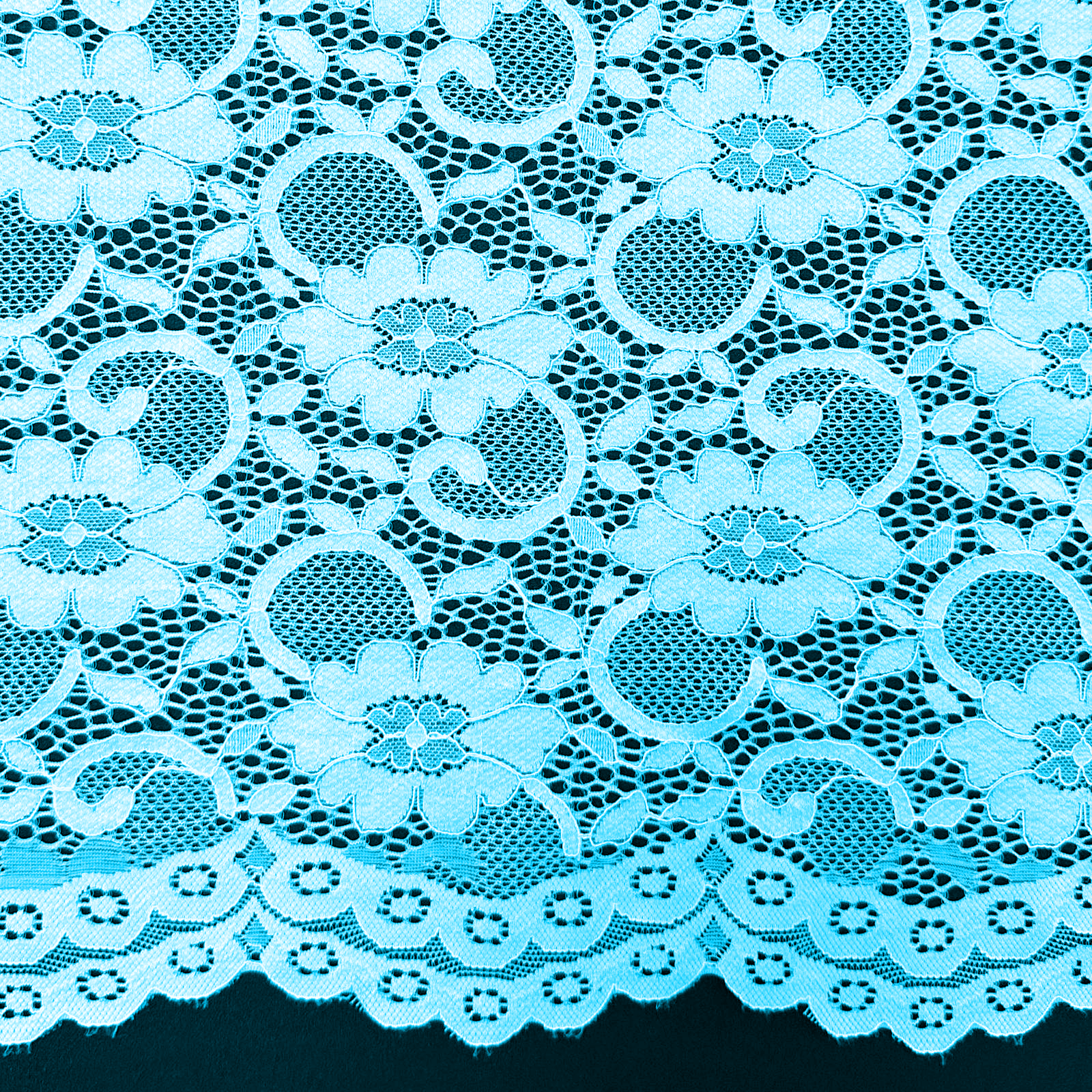 LACE SCALLOP - F1451SPLAC - Jerseytexuk