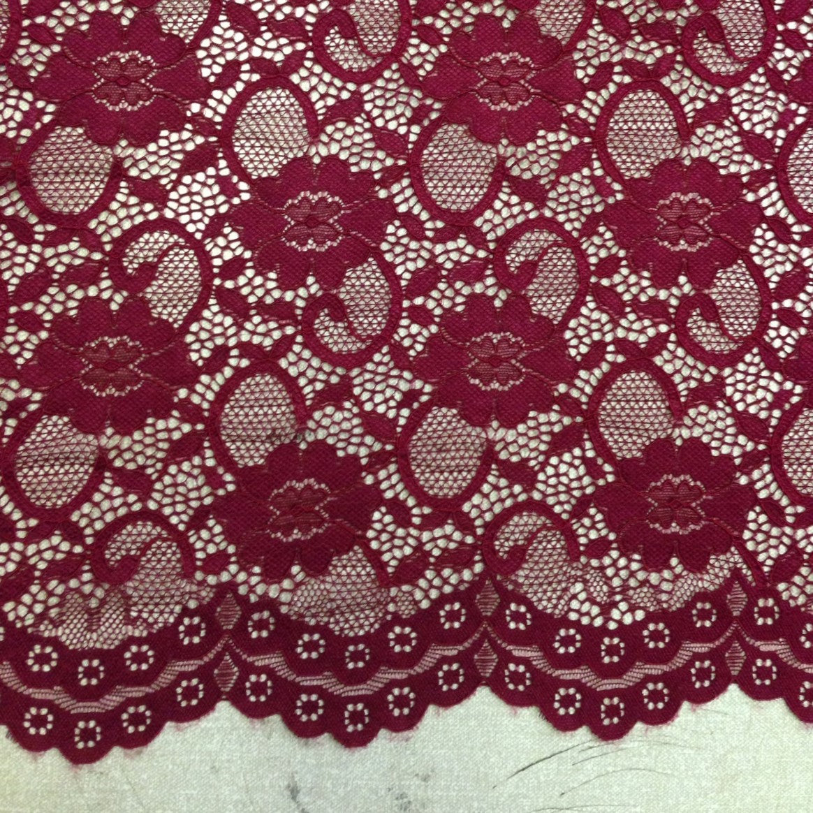 LACE SCALLOP - F1451SPLAC - Jerseytexuk