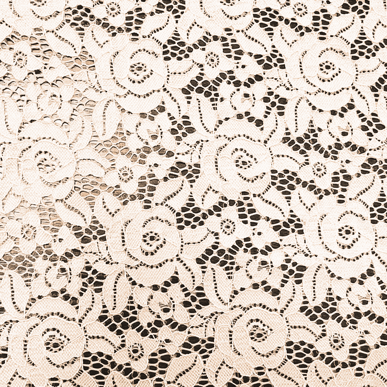 LACE SCALLOP - D003 - Jerseytexuk