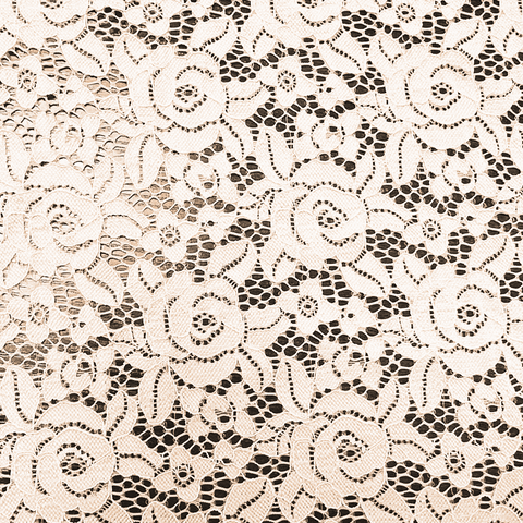 LACE SCALLOP - D003 - Jerseytexuk LACE SCALLOP - D003 - Jerseytexuk